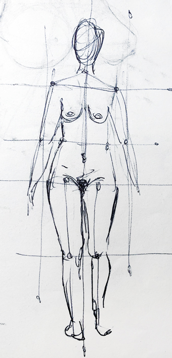 Anatomie-Studie